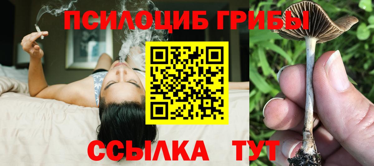 Галлюциногенные грибы мухоморы  Галлюциногенные грибы Psilocybine cubensis  Златоуст  Вход с VPN 